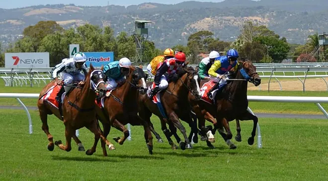 British horseracing