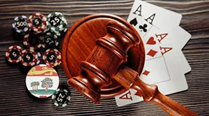 Lack of Communication Between Small Gambling Businesses and the Government